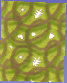 pd014008.jpg
