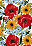 pdeveryday002003.jpg
