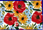 pdeveryday018001.jpg