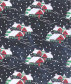 pdnatale2010002004.jpg