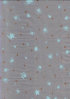 pdnatale2010002011.jpg