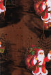 pdnatale2010003004.jpg