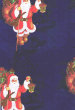 pdnatale2010003005.jpg