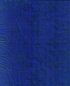 pdnatale2010003021.jpg